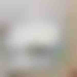 Stropný ventilátor s LED svetlom | FANGLO