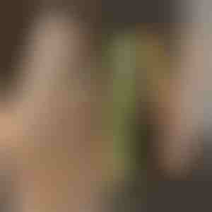 Žehlička na vyrovnávanie a vlnkovanie vlasov TWISTLINE