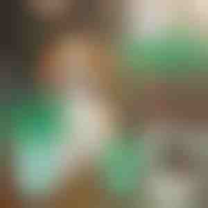 Pohár na čistenie psích labiek | PAWSANI