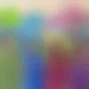 Hračka, vankúš a mikina | PILLOWPET