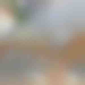 Viacúčelový krájač na zeleninu | SLICEIEST (4 čepele ZDARMA)