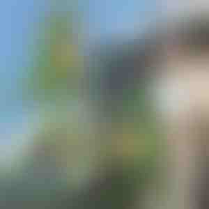 3D batoh v tvare dinosaura | DINOBACK