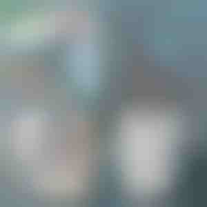 Naberačka na piesok pre mačky | SCOOPY