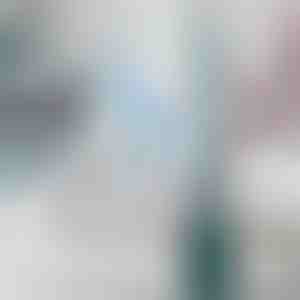 WC kefa s dávkovačom čistiaceho roztoku | FLUSHBRUSH