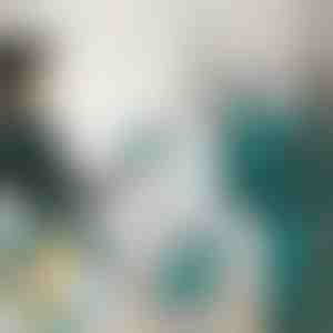 Mini naparovacia žehlička | FERROLITE