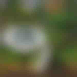 Solárne podlahové svetlá na vonkajšie použitie (3 ks) | LUMIGARD