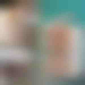 Úložné boxy s vekom a kolieskami | ORGABOX