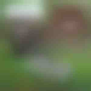 Multifunkčný záhradný nástroj na údržbu pôdy | PRONGSPRO