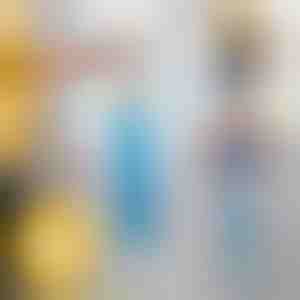 Prachová kefa s dlhým dosahom | DUSTOFF