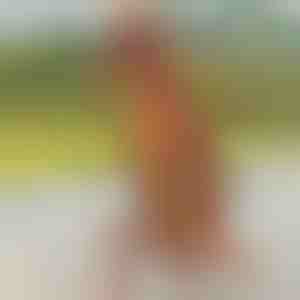 Nafukovací kostým dinosaura | TREXCOS