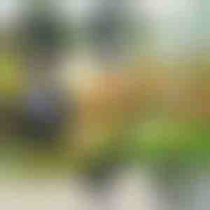 Záhradné náradie 4 v 1 | VERSAX