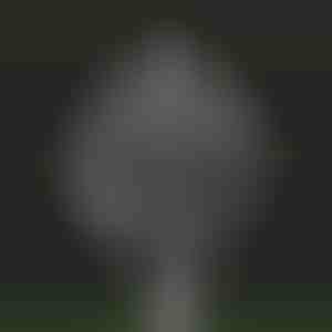 Kinetický veterný mlyn | WINDARA