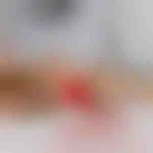 Hračka pre domáce zvieratá, ktorá sa pohybuje na dotyk | GATOPLAY