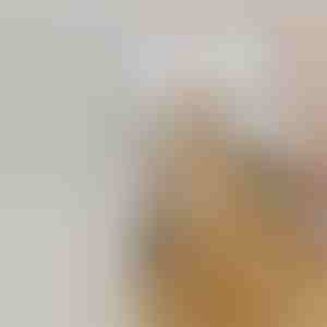 Kefa na ľahké odstraňovanie srsti domácich zvierat | GROOMSY