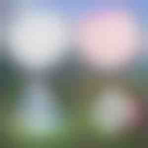 Viacúčelová nafukovacia bublina | SLIMEBUB