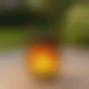 Solárne lampáše s efektom tancujúceho plameňa | FLAMLUX