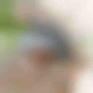 Interaktívna mávajúca hračka vtáčika | CHIRRCAT