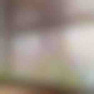 Žiarivá kvetinová nálepka na okno | FLORASTIK