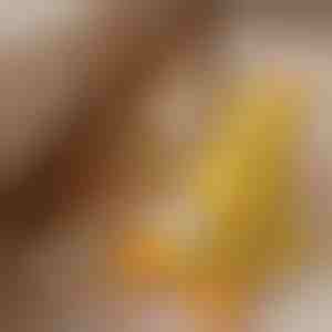 Mäkká pískajúca plyšová hračka | CALMQUA